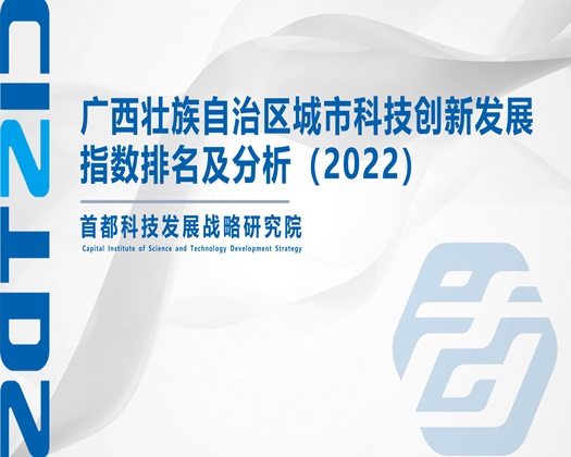 日逼黄片【成果发布】广西壮族自治区城市科技创新发展指数排名及分析（2022）